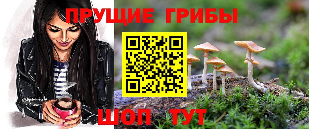 Псилоцибиновые грибы Magic Shrooms  Вход с VPN  Губаха 
