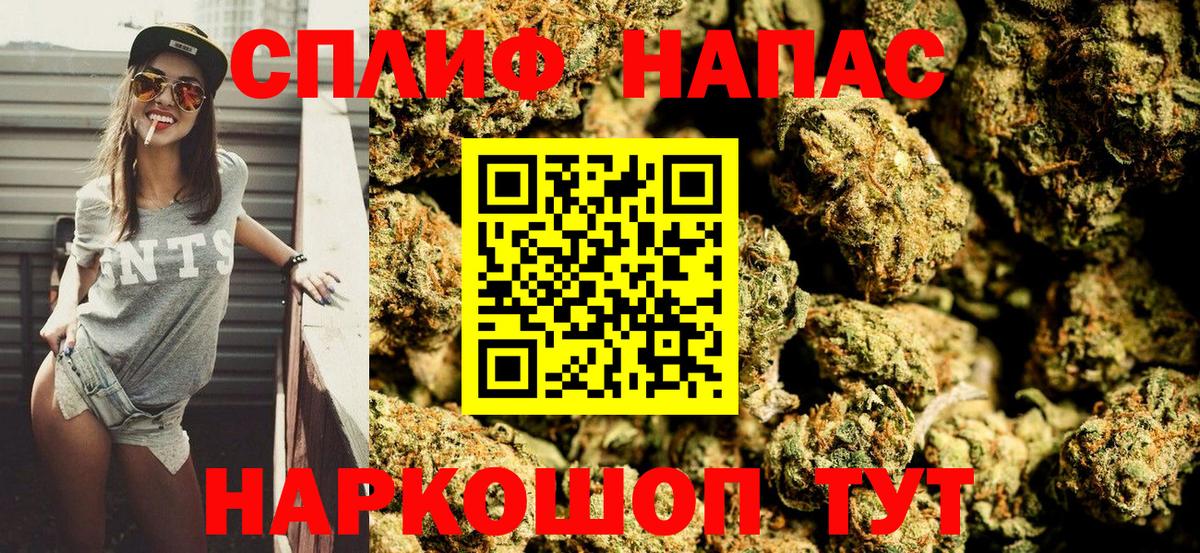Бошки Шишки гибрид Губаха